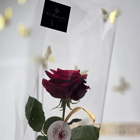 Maison Equipee Avec Petit Dejeuner Gratuit - Balneo- Sauna - Siege Massant Et Piece Secrete Brachy